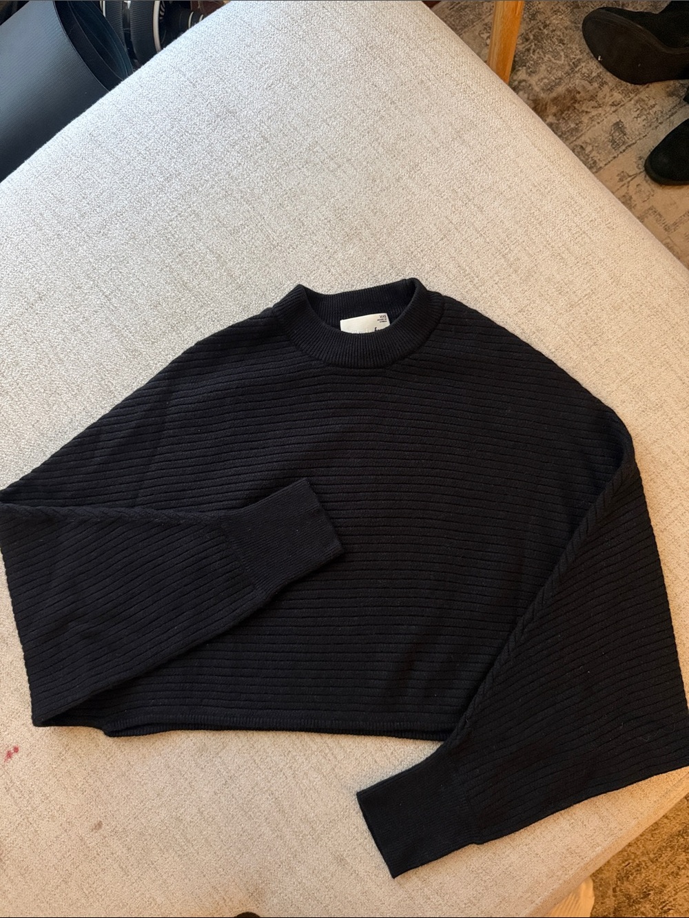 Aritzia Wilfred Free Ribbed Crewneck Batwing Sweater